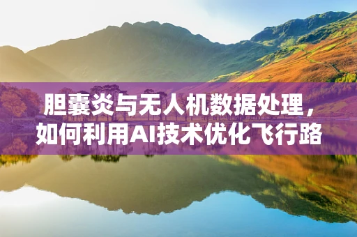 胆囊炎与无人机数据处理，如何利用AI技术优化飞行路径？