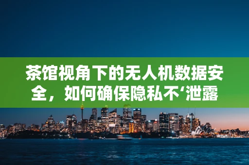 茶馆视角下的无人机数据安全，如何确保隐私不‘泄露’？