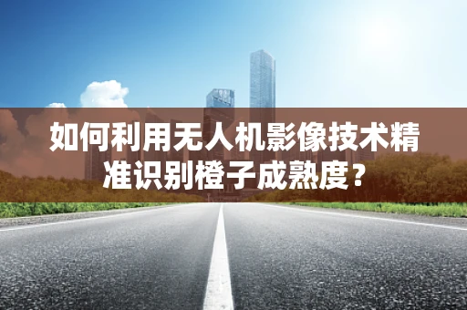 如何利用无人机影像技术精准识别橙子成熟度？