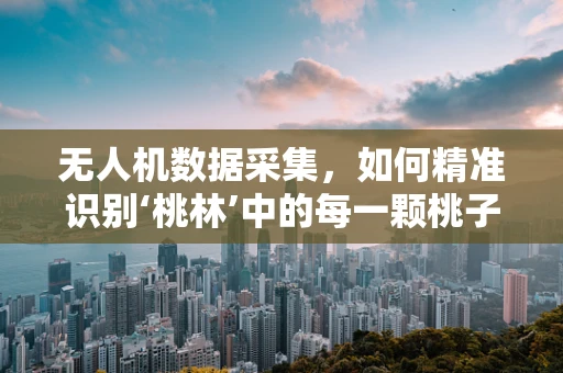 无人机数据采集，如何精准识别‘桃林’中的每一颗桃子？
