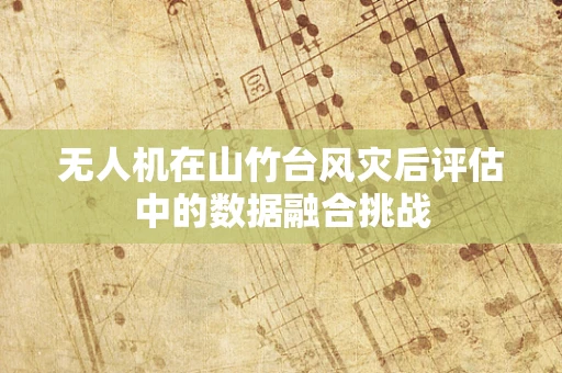无人机在山竹台风灾后评估中的数据融合挑战