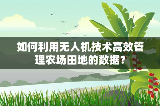 如何利用无人机技术高效管理农场田地的数据？