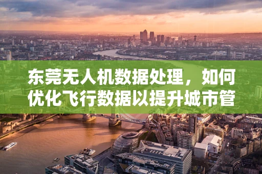 东莞无人机数据处理，如何优化飞行数据以提升城市管理效率？