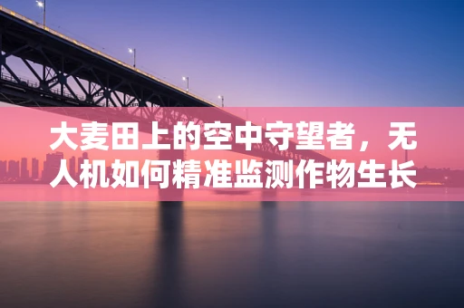 大麦田上的空中守望者，无人机如何精准监测作物生长？