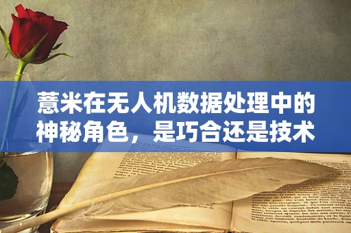 薏米在无人机数据处理中的神秘角色，是巧合还是技术新突破？