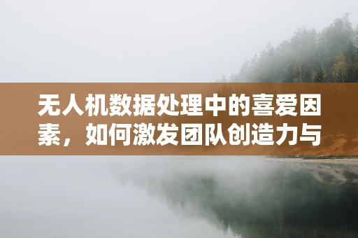 无人机数据处理中的喜爱因素，如何激发团队创造力与效率？