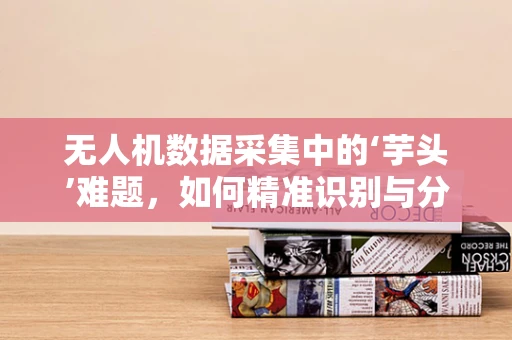 无人机数据采集中的‘芋头’难题，如何精准识别与分类？