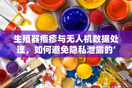 生殖器疱疹与无人机数据处理，如何避免隐私泄露的‘空中风暴’？