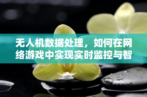 无人机数据处理，如何在网络游戏中实现实时监控与智能决策？