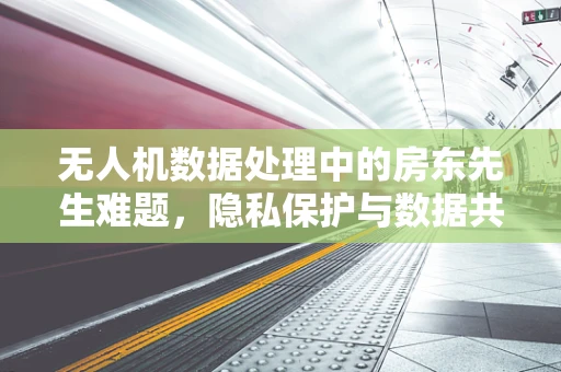 无人机数据处理中的房东先生难题，隐私保护与数据共享的平衡