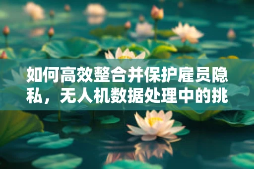 如何高效整合并保护雇员隐私，无人机数据处理中的挑战与对策？