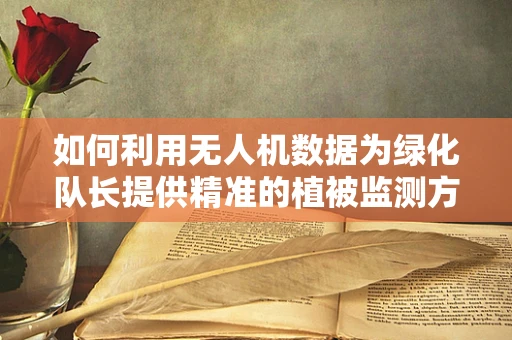 如何利用无人机数据为绿化队长提供精准的植被监测方案？