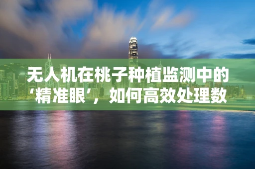 无人机在桃子种植监测中的‘精准眼’，如何高效处理数据以提升果品质量？