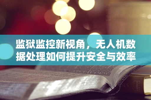 监狱监控新视角，无人机数据处理如何提升安全与效率？
