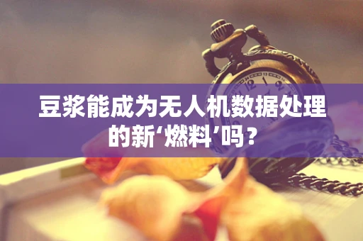 豆浆能成为无人机数据处理的新‘燃料’吗？
