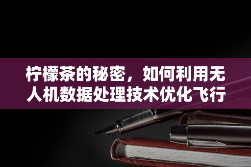 柠檬茶的秘密，如何利用无人机数据处理技术优化飞行路径？