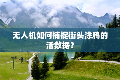 无人机如何捕捉街头涂鸦的活数据？