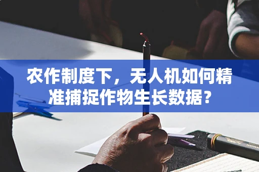 农作制度下，无人机如何精准捕捉作物生长数据？