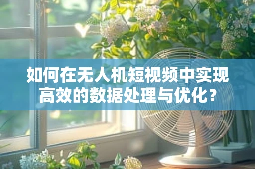 如何在无人机短视频中实现高效的数据处理与优化？