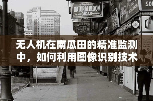 无人机在南瓜田的精准监测中，如何利用图像识别技术提升数据处理的准确性？