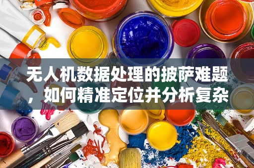 无人机数据处理的披萨难题，如何精准定位并分析复杂环境下的披萨订单？