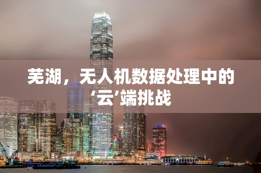 芜湖，无人机数据处理中的‘云’端挑战