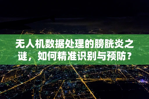 无人机数据处理的膀胱炎之谜，如何精准识别与预防？
