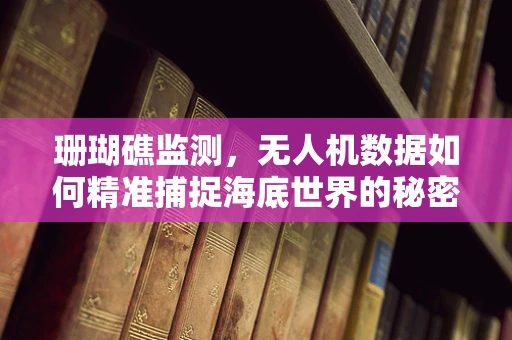 珊瑚礁监测，无人机数据如何精准捕捉海底世界的秘密？