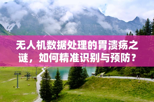 无人机数据处理的胃溃疡之谜，如何精准识别与预防？