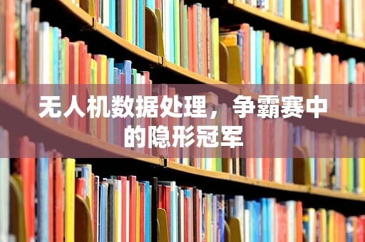 无人机数据处理，争霸赛中的隐形冠军