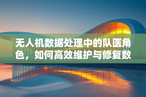 无人机数据处理中的队医角色，如何高效维护与修复数据流？