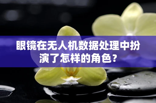 眼镜在无人机数据处理中扮演了怎样的角色？