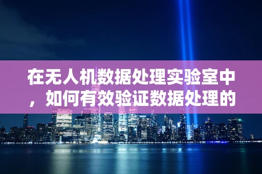 在无人机数据处理实验室中，如何有效验证数据处理的准确性与效率？