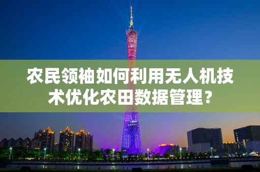 农民领袖如何利用无人机技术优化农田数据管理？