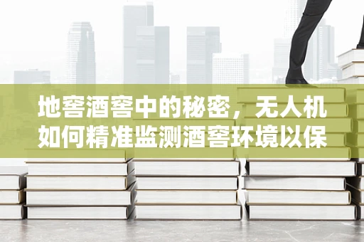 地窖酒窖中的秘密，无人机如何精准监测酒窖环境以保障珍藏？