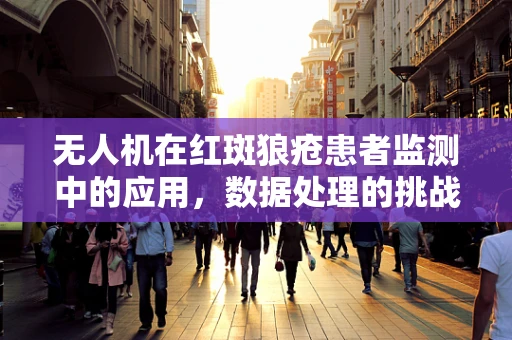 无人机在红斑狼疮患者监测中的应用，数据处理的挑战与机遇？