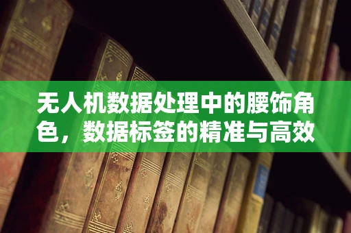 无人机数据处理中的腰饰角色，数据标签的精准与高效