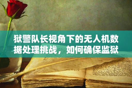 狱警队长视角下的无人机数据处理挑战，如何确保监狱上空的安全与监控？