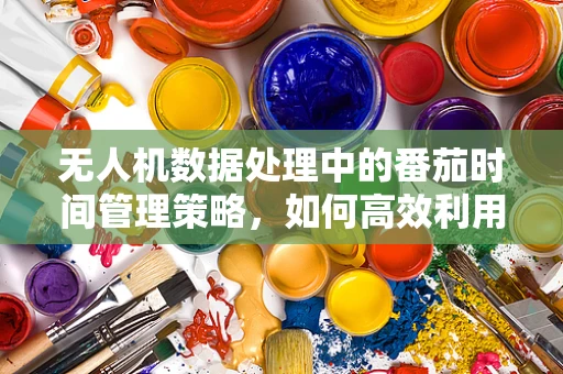 无人机数据处理中的番茄时间管理策略，如何高效利用飞行数据？