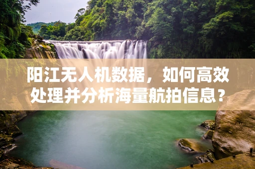 阳江无人机数据，如何高效处理并分析海量航拍信息？