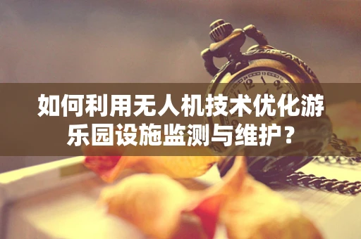 如何利用无人机技术优化游乐园设施监测与维护？