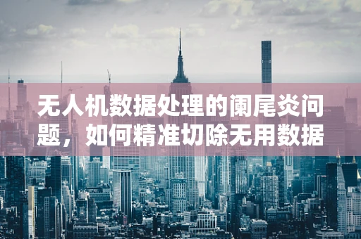 无人机数据处理的阑尾炎问题，如何精准切除无用数据？