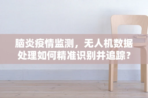 脑炎疫情监测，无人机数据处理如何精准识别并追踪？