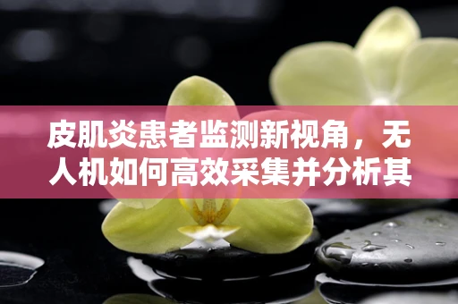 皮肌炎患者监测新视角，无人机如何高效采集并分析其环境数据？