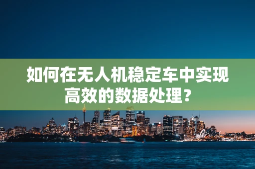 如何在无人机稳定车中实现高效的数据处理？