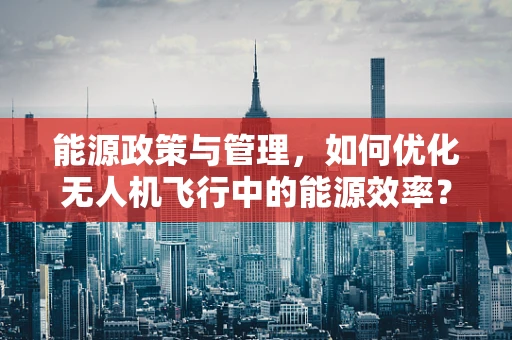 能源政策与管理，如何优化无人机飞行中的能源效率？