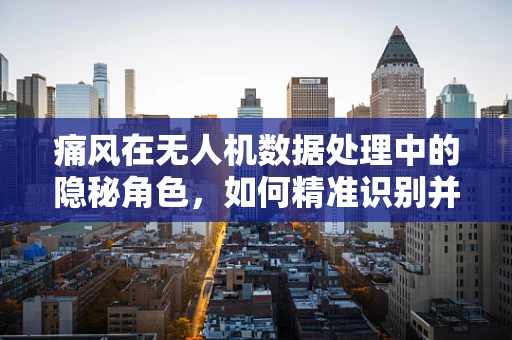 痛风在无人机数据处理中的隐秘角色，如何精准识别并避免其影响？