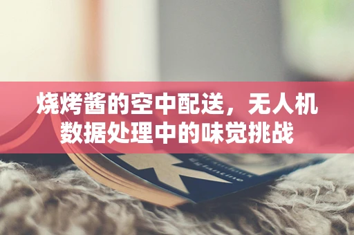 烧烤酱的空中配送，无人机数据处理中的味觉挑战