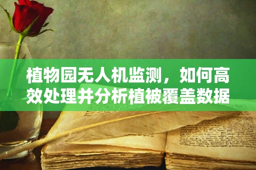 植物园无人机监测，如何高效处理并分析植被覆盖数据？