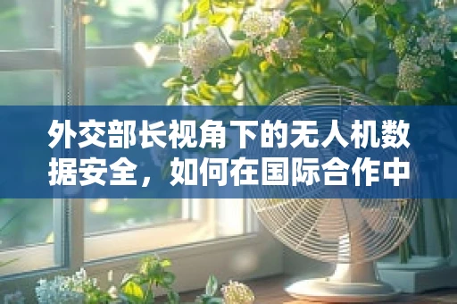 外交部长视角下的无人机数据安全，如何在国际合作中保障隐私？